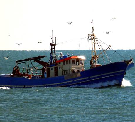 Anche la pesca sotto la lente