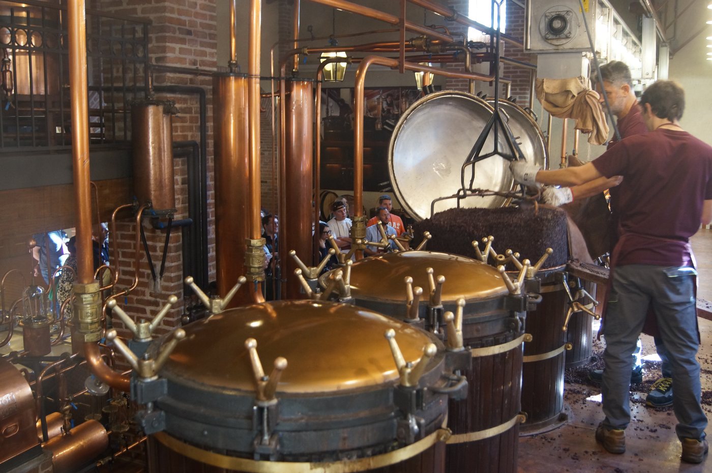 Lavorazione negli impianti di distillazione durante Distillerie Aperte 2026