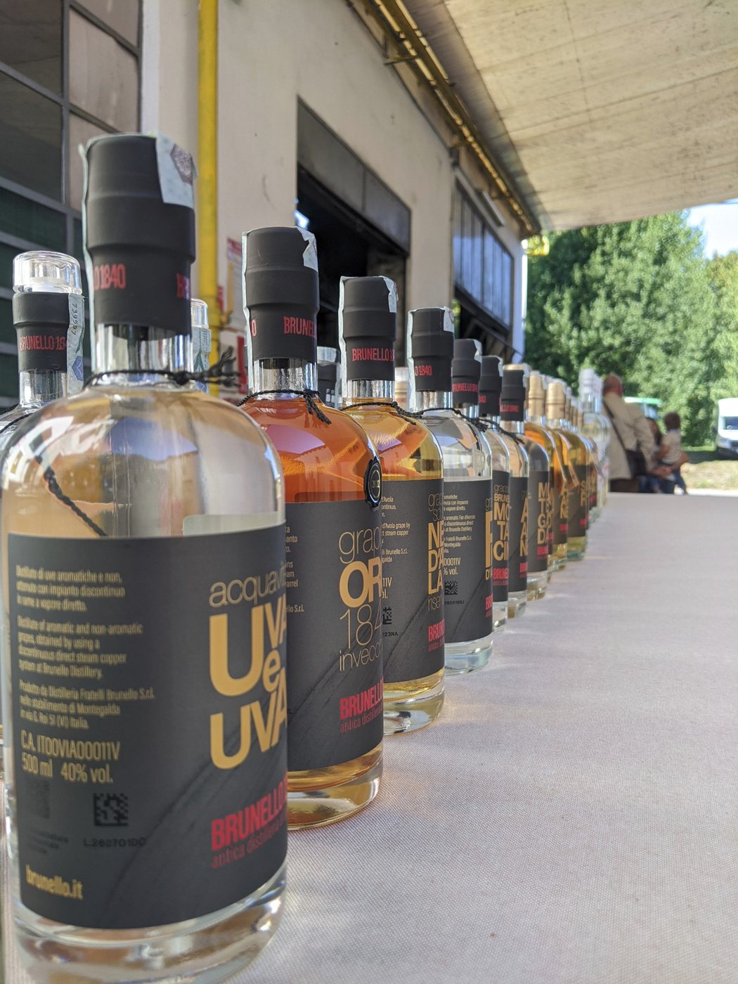Bottiglie di grappa e distillati esposte durante Distillerie Aperte 2026