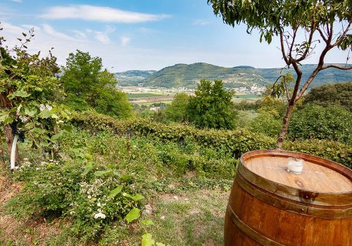 Paesaggio della Val Liona