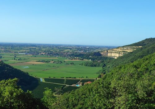 Paesaggio dei Colli Berici tra vigneti e colline